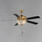 Maxim Lighting Super-Max 2Lt 20" Indoor Ceiling Fan, Brass/White