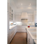 Maxim Lighting CounterMax 802 MX-L-24-SS-Under Cabinet, Aluminum