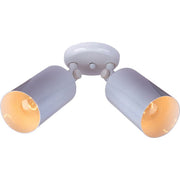 Maxim Lighting 2-Light Can Wall/Flush Mount White
