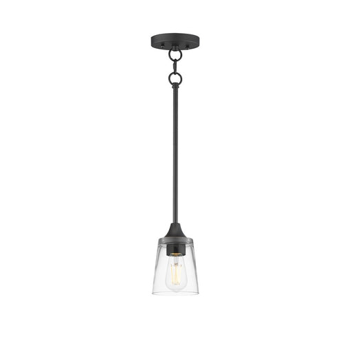 Maxim Lighting Hudson 1 Light 8" Mini Pendant, Black/Clear - 92880CLBK