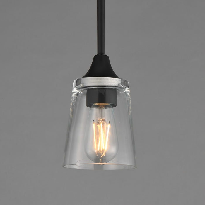 Maxim Lighting Hudson 1 Light 8" Mini Pendant, Black/Clear