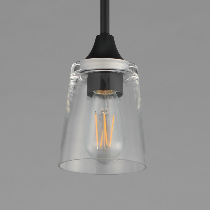 Maxim Lighting Hudson 1 Light 8" Mini Pendant, Black/Clear