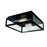 Norwell Lighting Capture Outdoor 2 Light Flush Mount, Matte Black