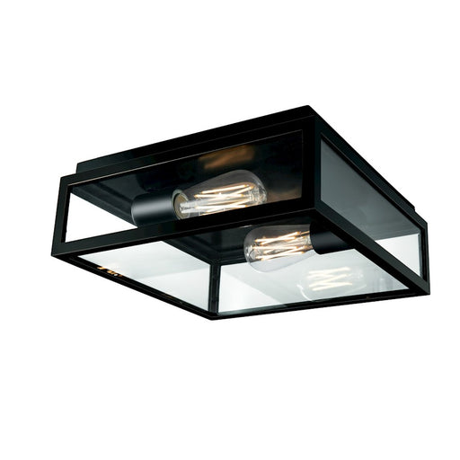 Norwell Lighting Capture Outdoor 2 Light Flush Mount, Matte Black