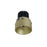 Nora 2" Iolite LED Rnd Trmls DnLt, 10°, 3500K, Chmp Haze - NIO-2RTLNDC35QCH