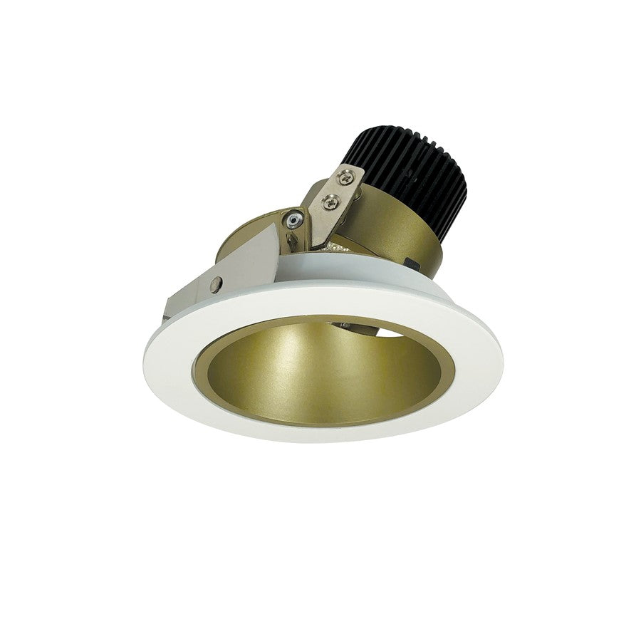 Nora 4" Iolite LED Rnd Adj Deep, Comfort Dim, Chmp Haze/MPW - NIO-4RDCDXCHMPW