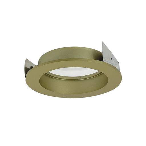 Nora 4" Iolite Trimless To FLd Converter Accessory, Champagne Haze - NIO-4RTFACH