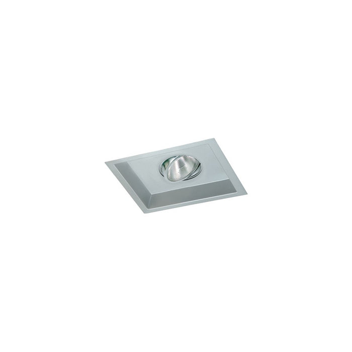 Nora Lighting Nmr 2L Par38 Gimbal Silver Tri - NMRT-12653SS