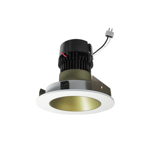 Nora 4" Pearl LV LED Rnd, Comfort Dim, Chmp Haze/MPW - NPRLV-4RNDCCDXCHMPW
