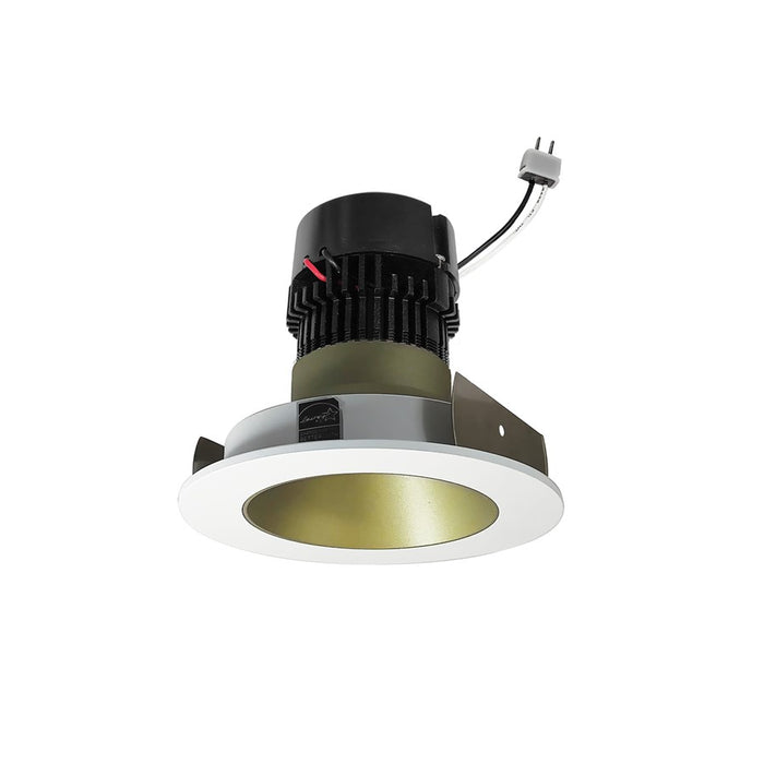 Nora 4" Pearl LV LED Rnd, Comfort Dim, Chmp Haze/MPW - NPRLV-4RNDCCDXCHMPW