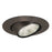 Nora Lighting 6" Br/Par30 Eyeball/Metal Trim, Bronze - NT-28BZ