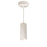 Nora 2" iLENE Cable Mt Mini Cyl, 15W, Wht/277V, 3000K, Wht - NYLM-2C30XWWLE4A