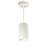 Nora 3" iLENE Cable Mt Mini Cyl, 30W, Wht/277V, 3000K, Wht - NYLM-3C30XWWLE4