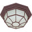 Nuvo Lighting 1-LT 12" Ceiling Spider Cage Fixture, Old Bronze, Frost