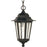 Nuvo Lighting Cornerstone 1 Light 13" Hanging Lantern, Clear Seed