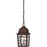 Nuvo Lighting Banyan 1 Light 11" Outdoor Hanging, Clear Water Glass