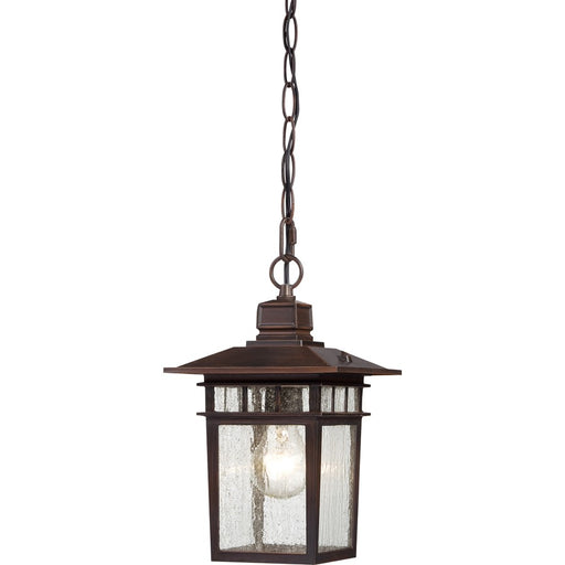 Nuvo Cove Neck 12in 1-Light Outdoor Hanging Lantern | Transitional Rustic Bronze and Clear Seeded Glass | Covered Patio & Entryway | 7 x 7 | Model 60-4955