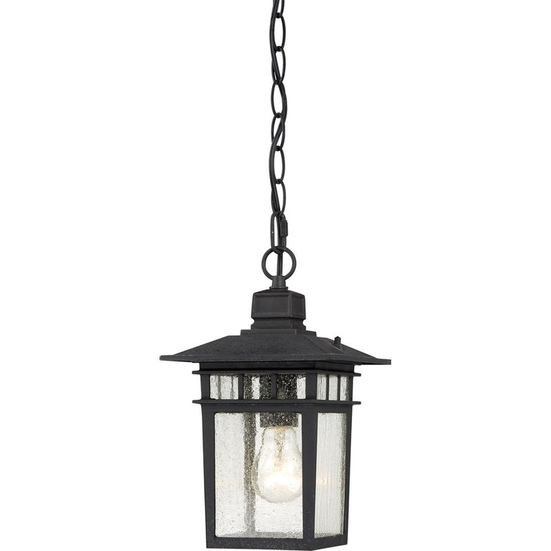 Nuvo Cove Neck 12in 1-Light Outdoor Hanging Lantern | Transitional Textured Black and Clear Seeded Glass | Covered Patios & Entryways | 7 | Model 60-4956
