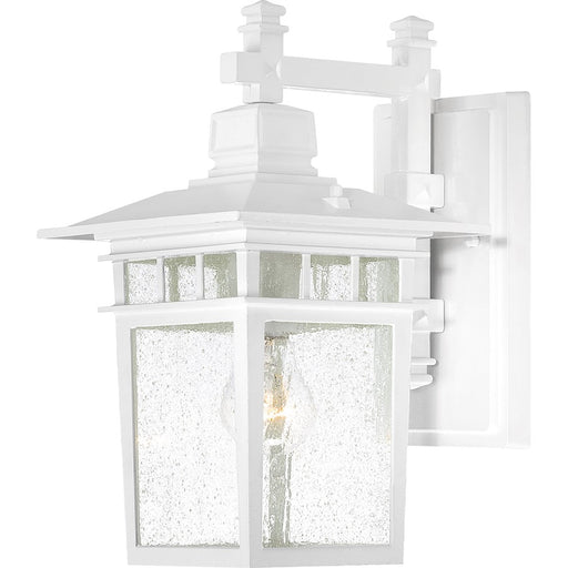 Nuvo Cove Neck 14in 1-Light Outdoor Lantern | Transitional White and Clear Seeded Glass | Covered Patios & Entryways | 9 x 14 x 11.5 in | Model 60-4957