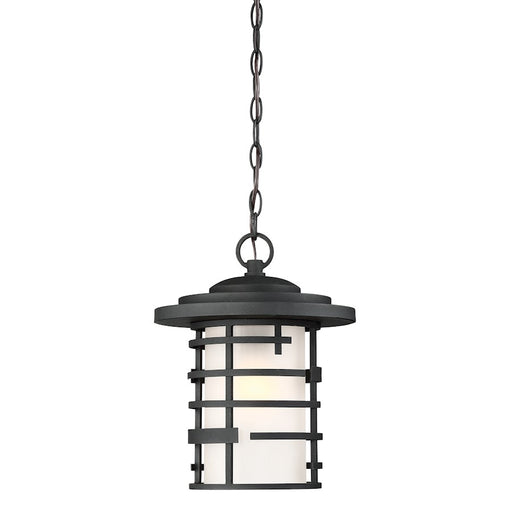 Nuvo Lighting Lansing 1 Light 14" Hanging Lantern, Etched/Black