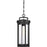 Nuvo Lighting Huron 1 Light Hanging Lantern, Clear Glass, Aged Bronze