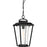 Nuvo Lighting Lakeview 1 Light Hanging Lantern, Clear Seed/Aged Bronze
