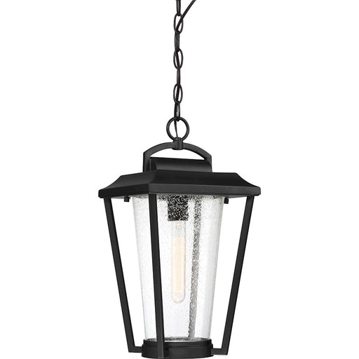 Nuvo Lighting Lakeview 1 Light Hanging Lantern, Clear Seed/Aged Bronze