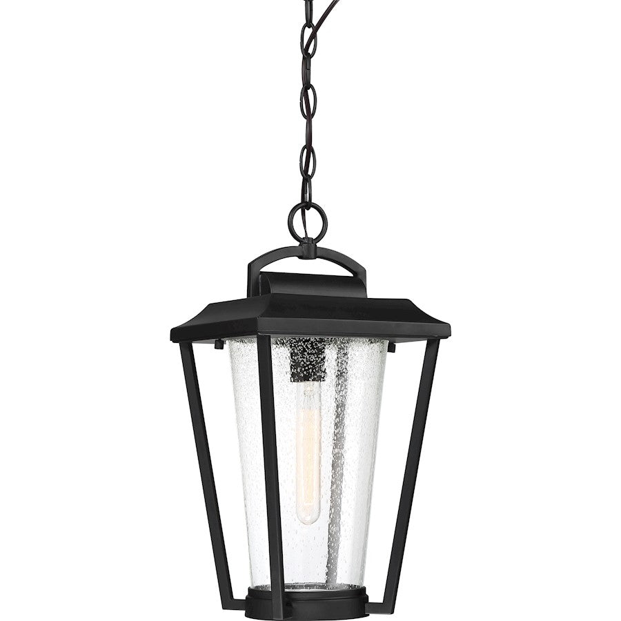 Nuvo Lighting Lakeview 1 Light Hanging Lantern, Clear Seed/Aged Bronze