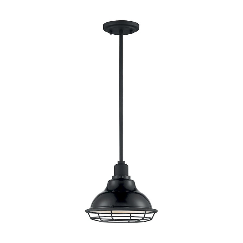Nuvo Lighting Newbridge 1 Light Pendant