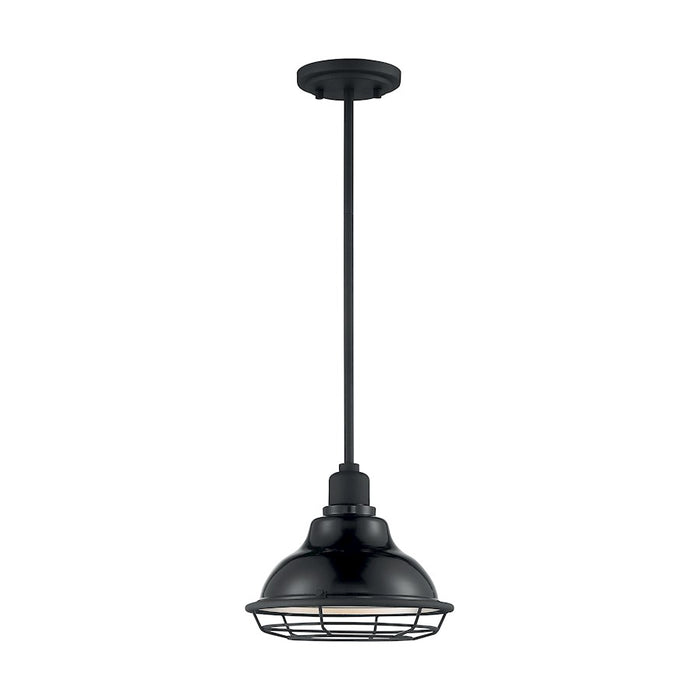 Nuvo Lighting Newbridge 1 Light Pendant