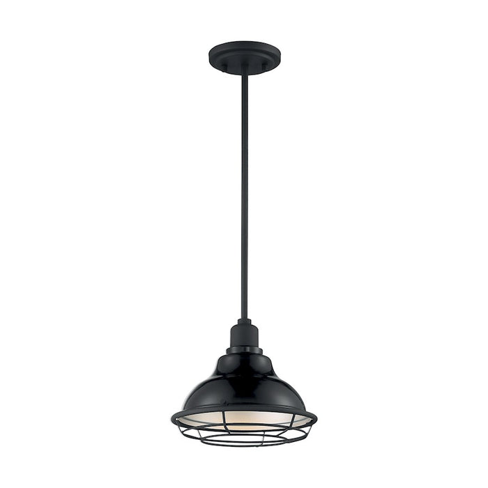 Nuvo Lighting Newbridge 1 Light Pendant