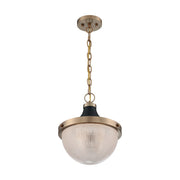 Nuvo Lighting Faro 13in 1-Light Pendant | Transitional Burnished Brass and Black with Clear Prismatic Glass | Kitchen Island & Dining Room | Model 60-7060