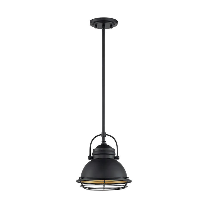 Nuvo Lighting Upton 1 Light Pendant