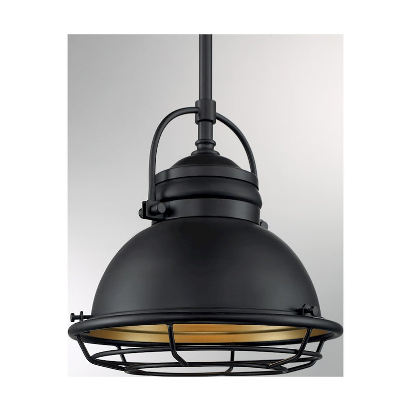 Nuvo Lighting Upton 1 Light Pendant