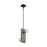 Nuvo Lighting Stella 2 Light Mini Pendant, Driftwood/Black Accents