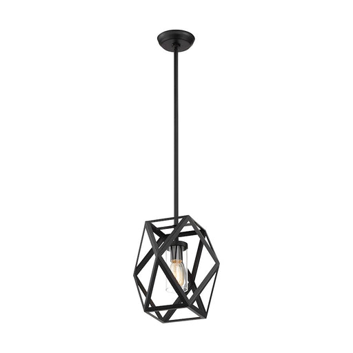 Nuvo Lighting Zemi 1 Light Mini Pendant, Clear Glass, Black