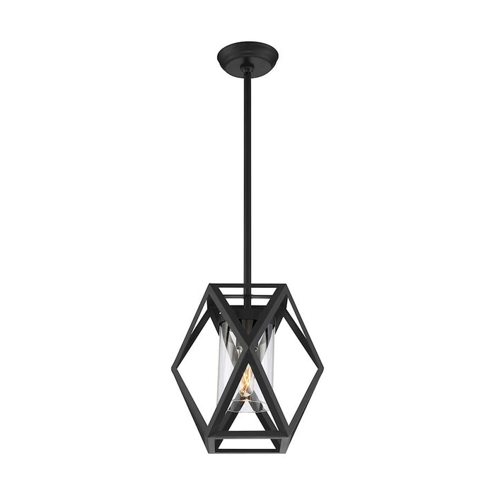 Nuvo Lighting Zemi 1 Light Mini Pendant, Clear Glass, Black