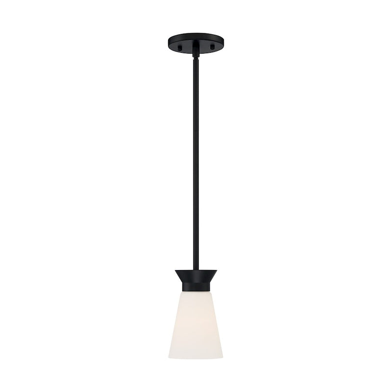 Nuvo Lighting Caleta 1 Light Mini Pendant, Cylindrical Glass,