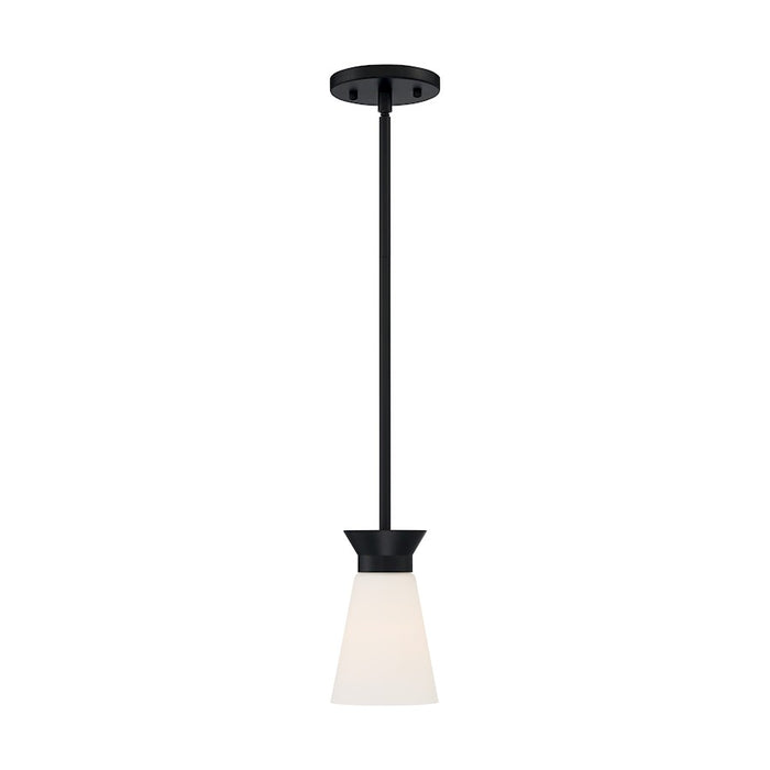 Nuvo Lighting Caleta 1 Light Mini Pendant, Cylindrical Glass,