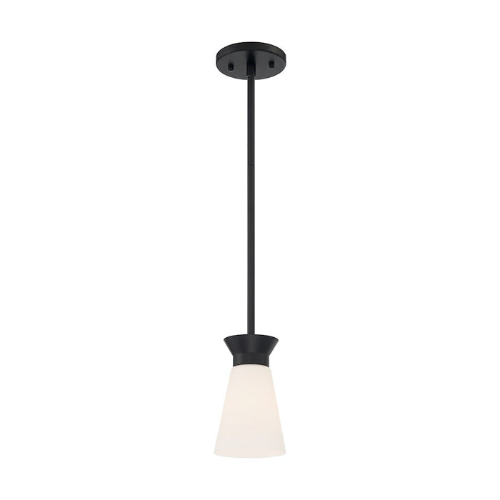 Nuvo Lighting Caleta 1 Light Mini Pendant, Cylindrical Glass,