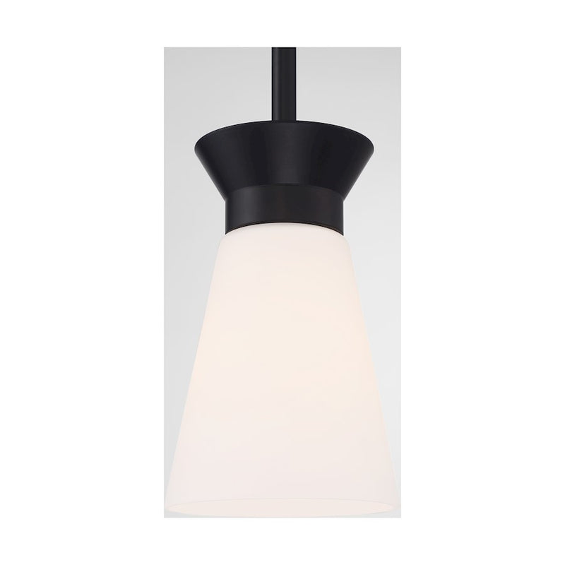 Nuvo Lighting Caleta 1 Light Mini Pendant, Cylindrical Glass,