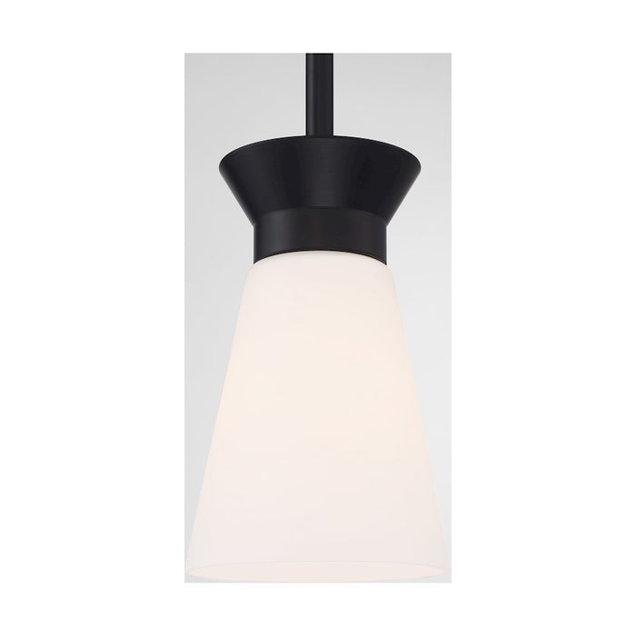 Nuvo Lighting Caleta 1 Light Mini Pendant, Cylindrical Glass,