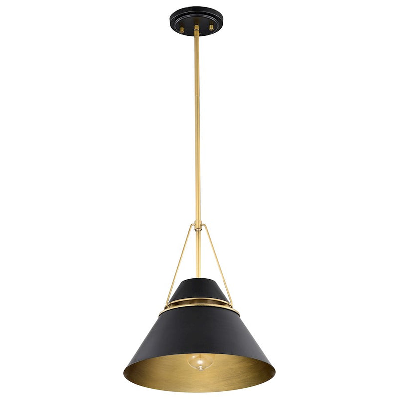Nuvo Lighting Adina 13in 1-Light Medium Pendant | Transitional Natural Brass Steel | Kitchen Island & Dining Room | 13 x 13 x 53 in | Model 60-7776