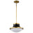 Nuvo Lighting Lafayette 1 Light Pendant
