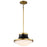 Nuvo Lighting Lafayette 1 Light Pendant