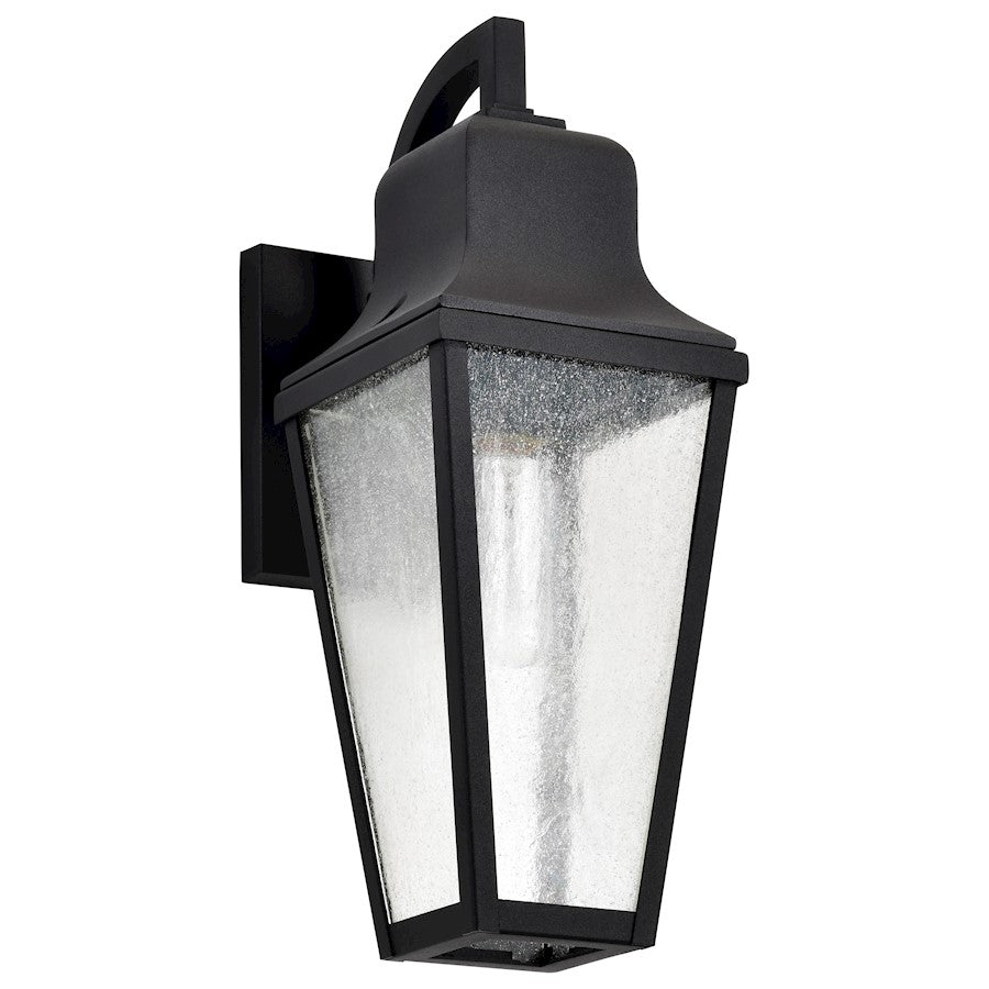 Nuvo Lighting Lawrence 1 Light 17" Wall Lantern, Black/Clear Seeded - 60-8132