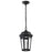 Nuvo East River 1Lt 8" LED Outdoor Hanging Fixture, Black Water - 62-5944