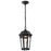 Nuvo East River 1Lt 8" LED Outdoor Hanging Fixture, Black Water