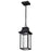 Nuvo Lighting Austen 1Lt LED 8" Outdoor Hanging Fixture, Black Water - 62-5996