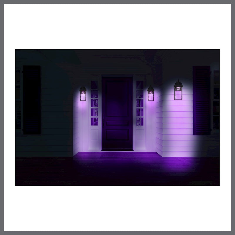 Nuvo Lighting Austen 13in 1-Light LED Outdoor Wall Sconce | Transitional Matte Black Die-Cast Aluminum and Clear Water Glass | Covered | Model 62-5997